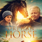 孤马 Orphan Horse