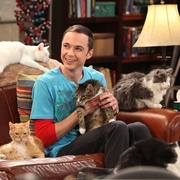 点击查看图片 生活大爆炸 第四季 The Big Bang Theory Season 4