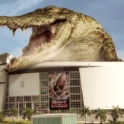 点击查看图片 巨鲨大战食人鳄 Mega Shark vs Crocosaurus