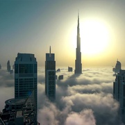 点击查看图片 狂野阿拉伯 Wild Arabia