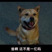 国际搜查 국제수사