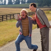 阿呆与阿瓜2 Dumb and Dumber To