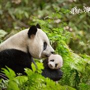 点击查看图片 我们诞生在中国 Born in China