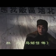 点击查看图片 大决战之辽沈战役