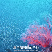 南太平洋之旅 Journey to the South Pacific