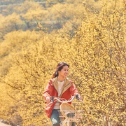 小森林 리틀 포레스트