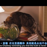 丑陋的真相 The Ugly Truth