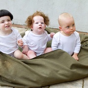三个臭皮匠 The Three Stooges