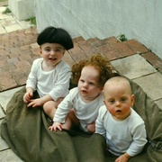 三个臭皮匠 The Three Stooges
