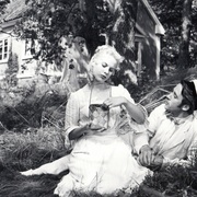 野草莓 Smultronstället