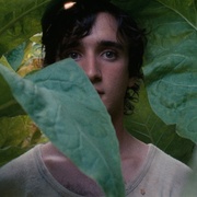点击查看图片 幸福的拉扎罗 Lazzaro felice