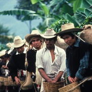 北方 El Norte