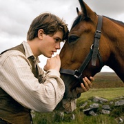 点击查看图片 战马 War Horse