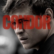 点击查看图片 秃鹰 第二季 Condor Season 2