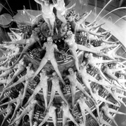 华清春暖 Footlight Parade