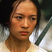 卧虎藏龙 臥虎藏龍