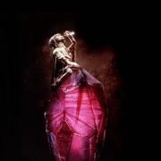 点击查看图片 黑水晶 The Dark Crystal