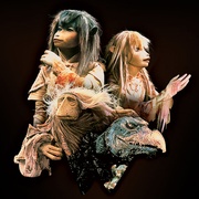 点击查看图片 黑水晶 The Dark Crystal