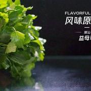 点击查看图片 风味原产地·潮汕