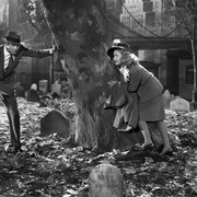 点击查看图片 毒药与老妇 Arsenic and Old Lace