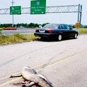 点击查看图片 坏中尉 The Bad Lieutenant: Port of Call - New Orleans