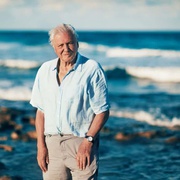爱登堡爵士和海龙 Attenborough and the Sea Dragon