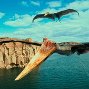 点击查看图片 恐龙再现 Dinosaurs: Giants of Patagonia