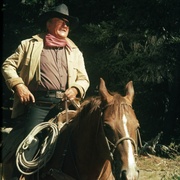 狂人考伯恩 Rooster Cogburn