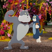 猫和老鼠 Tom and Jerry