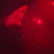 点击查看图片 鲨海 47 Meters Down