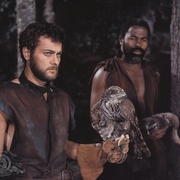 海盗 The Vikings