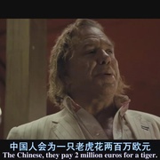 点击查看图片 爪哇火线 Java Heat