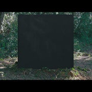 黑盒子 Black Hollow Cage
