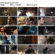 点击查看图片 流浪狗 Savage Dog