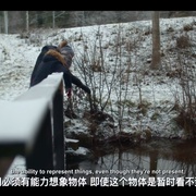 宝宝的第一年 第二季 Babies Season 2