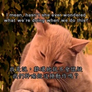 点击查看图片 怪医杜立德5:百万傻蛋 Dr. Dolittle: Million Dollar Mutts