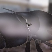点击查看图片 征服天穹 David Attenborough's Conquest of the Skies