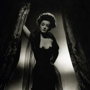点击查看图片 小狐狸 The Little Foxes