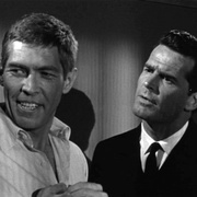 艾米丽的美国化 The Americanization of Emily