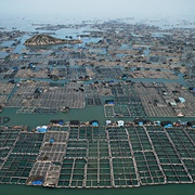 点击查看图片 水风景 Watermark