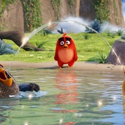 愤怒的小鸟 Angry Birds