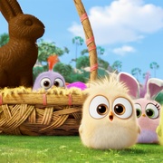 愤怒的小鸟 Angry Birds
