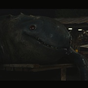 点击查看图片 怪兽卡车 Monster Trucks