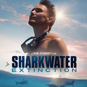 点击查看图片 鲨鱼海洋:灭绝 Sharkwater Extinction