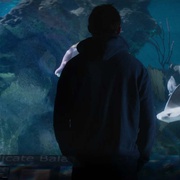 点击查看图片 你是唯一 Irreplaceable You