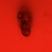 点击查看图片 死亡之屋 The House of the Dead