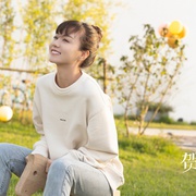 贺先生的恋恋不忘