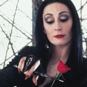 点击查看图片 亚当斯一家的价值观 Addams Family Values
