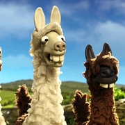 点击查看图片 小羊肖恩:农夫的美洲驼 Shaun the Sheep: The Farmer's Llamas
