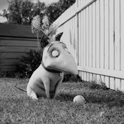 点击查看图片 科学怪狗 Frankenweenie